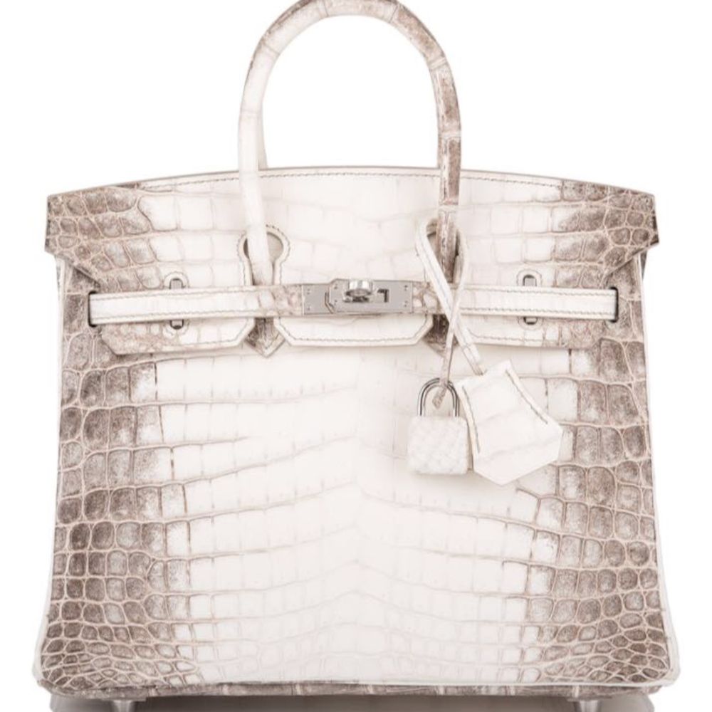 Hermès Birkin 30 Himalaya Crocodile Niloticus Matte Palladium Hardware PHW X Stamp 2016 <!27878907> - The French Hunter