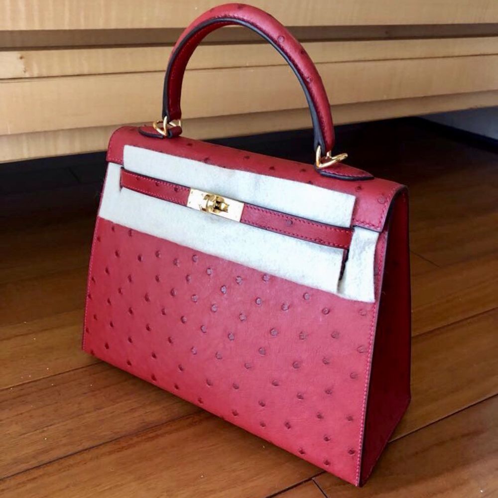 Hermès Kelly 25 Rouge Vif Sellier Ostrich Gold Hardware GHW — The