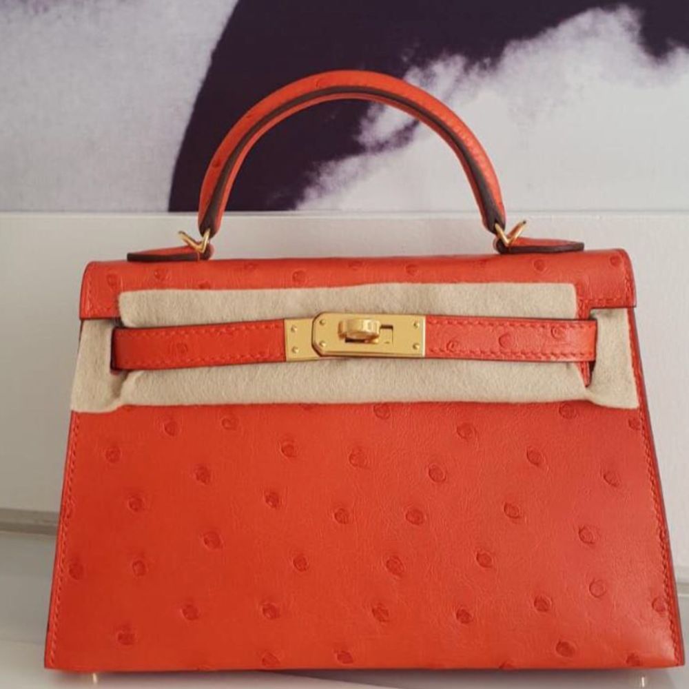 Hermès Kelly 20 Capucine Ostrich Gold Hardware GHW C Stamp 2018 <!30445476> - The French Hunter