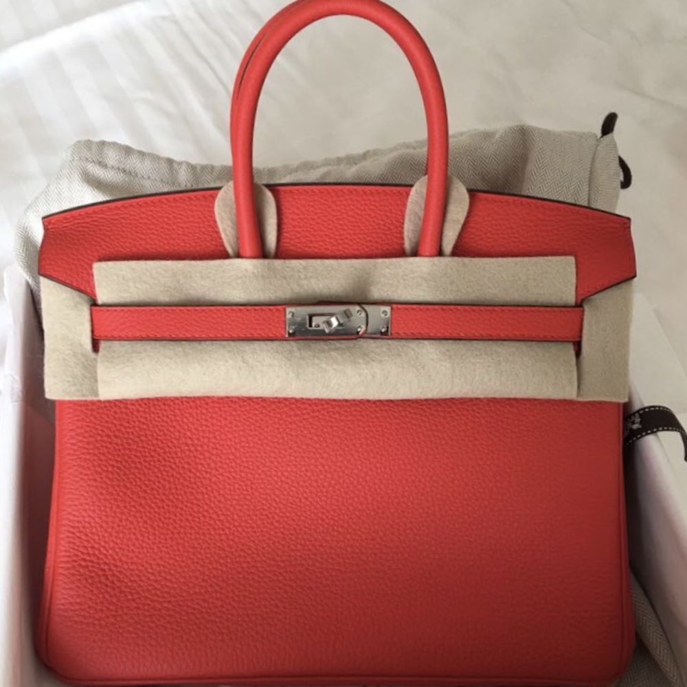 Hermès Birkin 25 Capucine Togo Palladium Hardware PHW C Stamp 2018 <!30643870> - The French Hunter