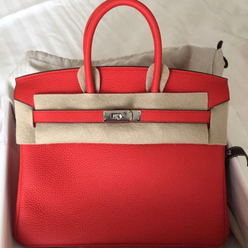 Hermès Birkin 25 Capucine Togo Palladium Hardware PHW C Stamp 2018 <!30643870> - The French Hunter