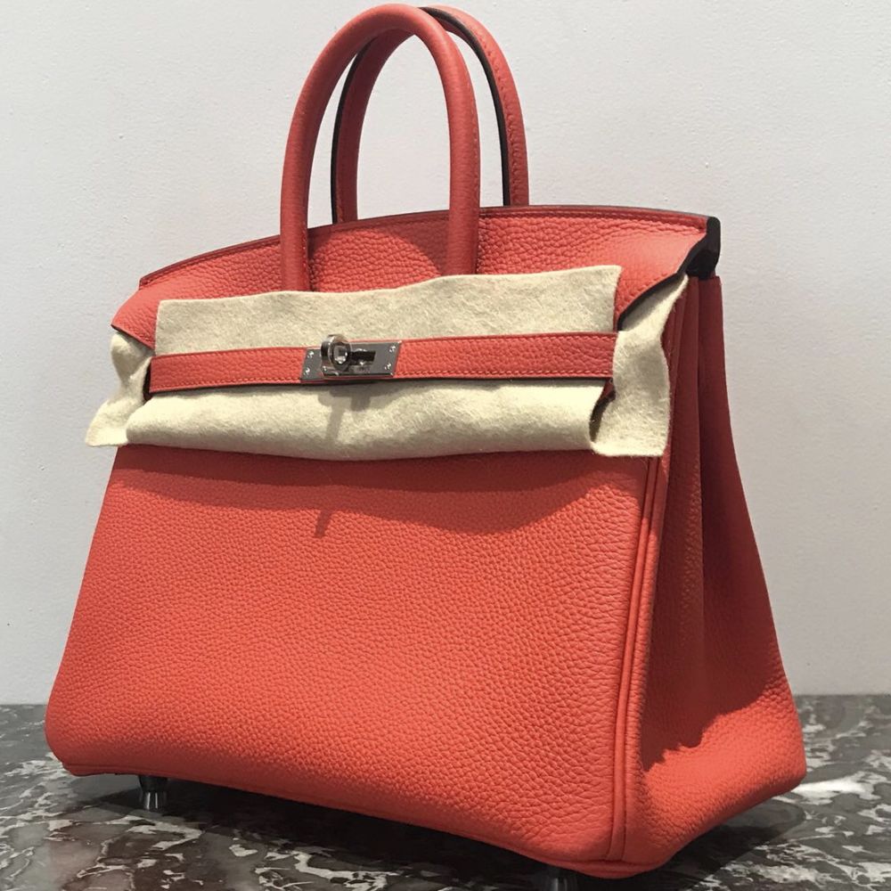 Hermès Birkin 25 Capucine Togo Palladium Hardware PHW C Stamp 2018 - The French Hunter