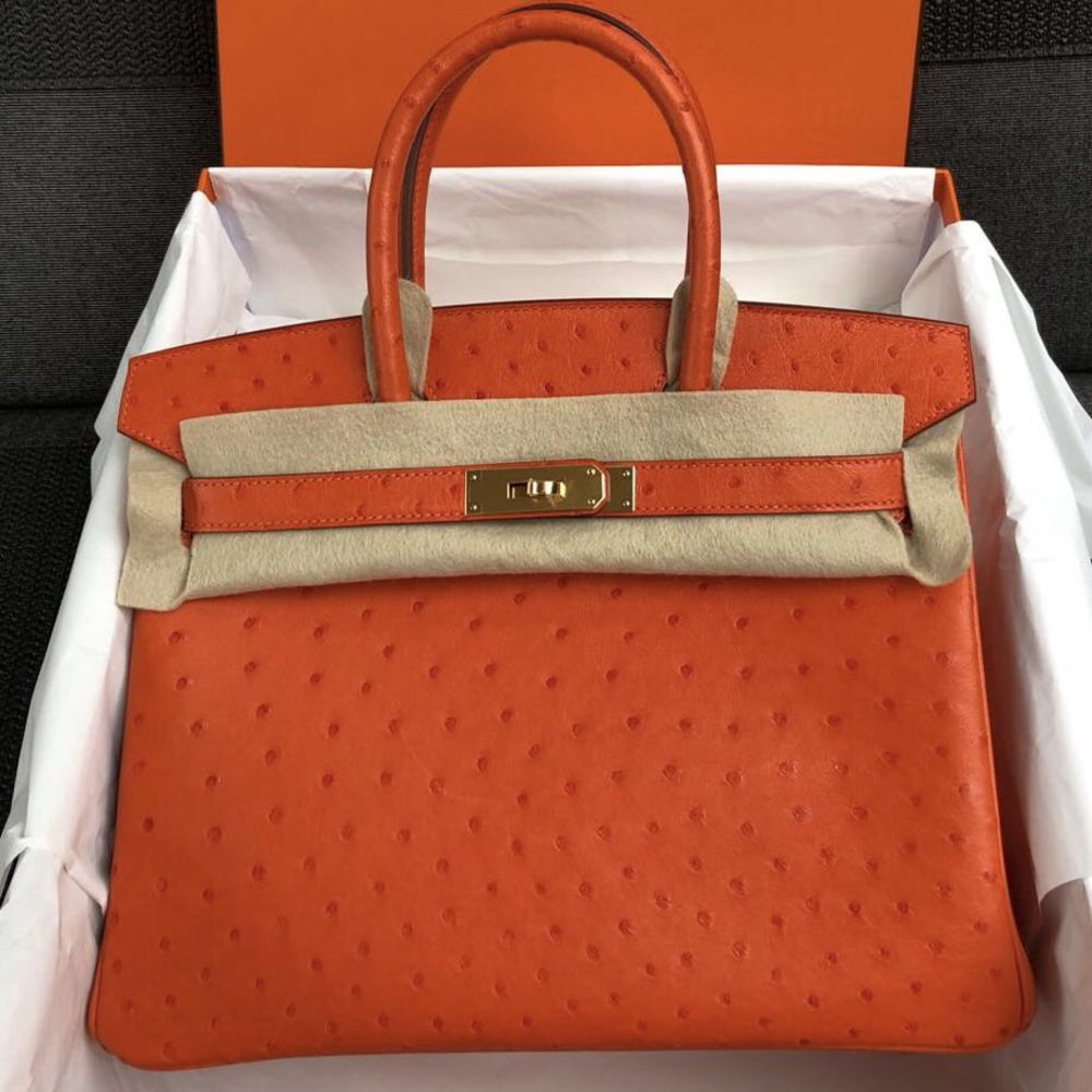Hermès Birkin 30 Tangerine Ostrich Gold Hardware GHW A Stamp 2017 - The French Hunter
