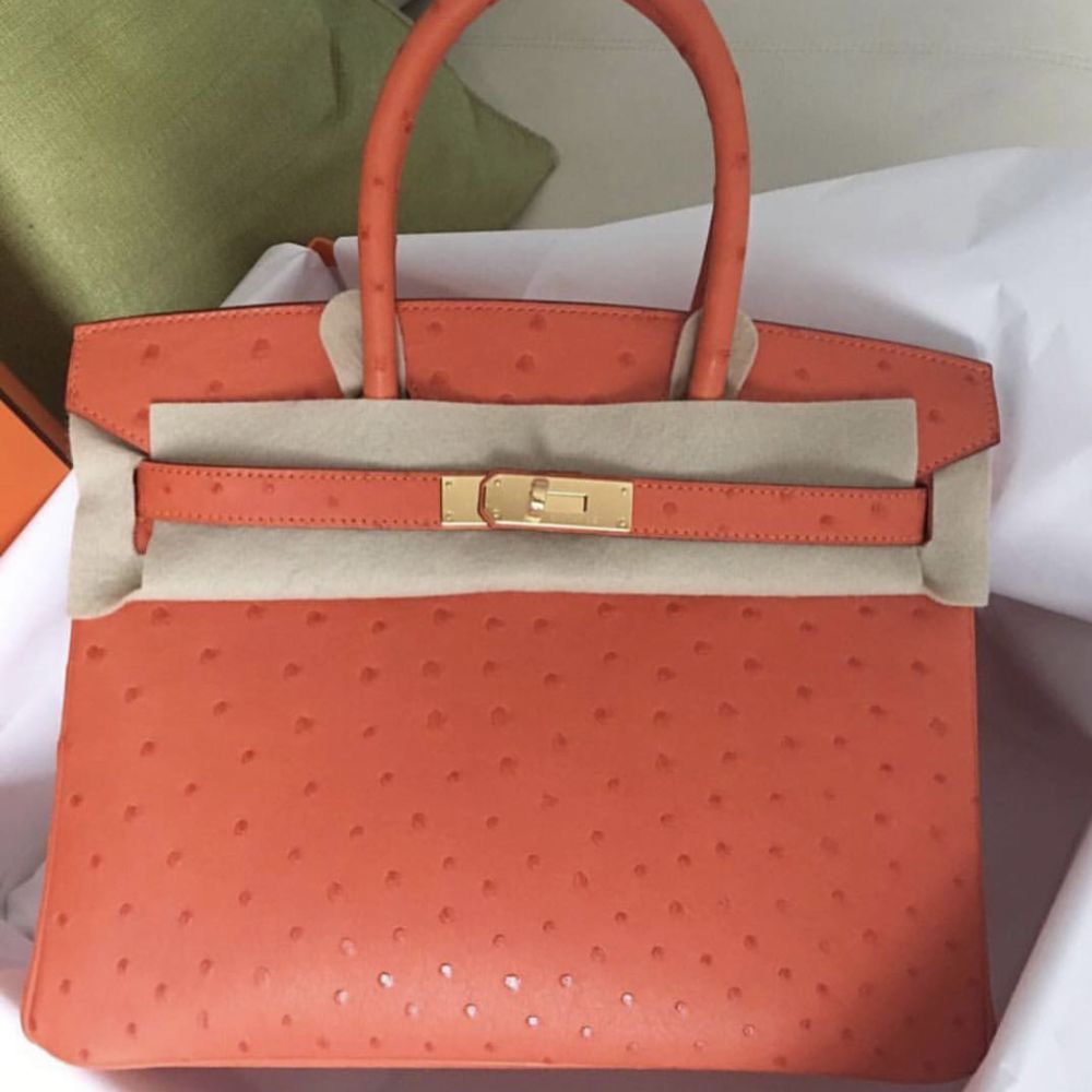 Hermès Birkin 30 Tangerine Ostrich Gold Hardware GHW A Stamp 2017 - The French Hunter