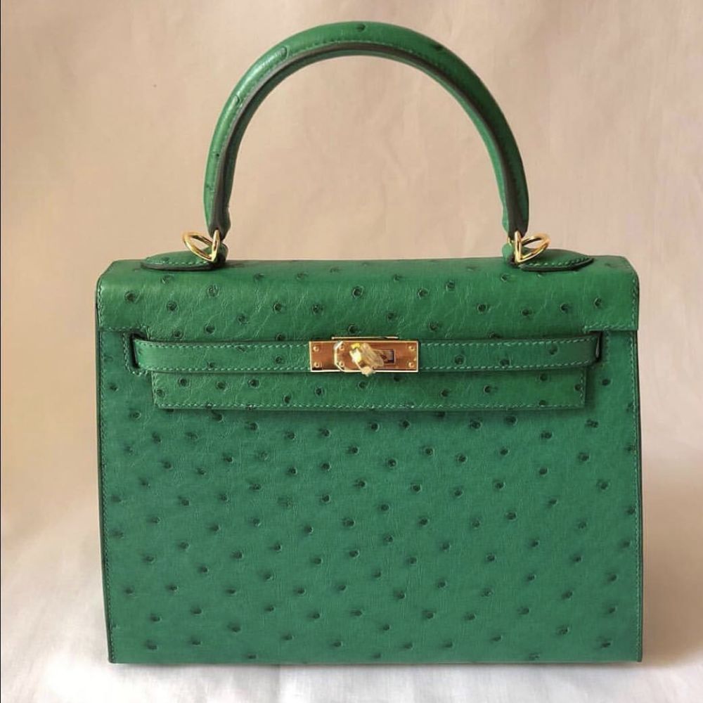 Hermès Kelly 25 Vert Vertigo Sellier Ostrich Gold Hardware GHW C Stamp 2018 - The French Hunter