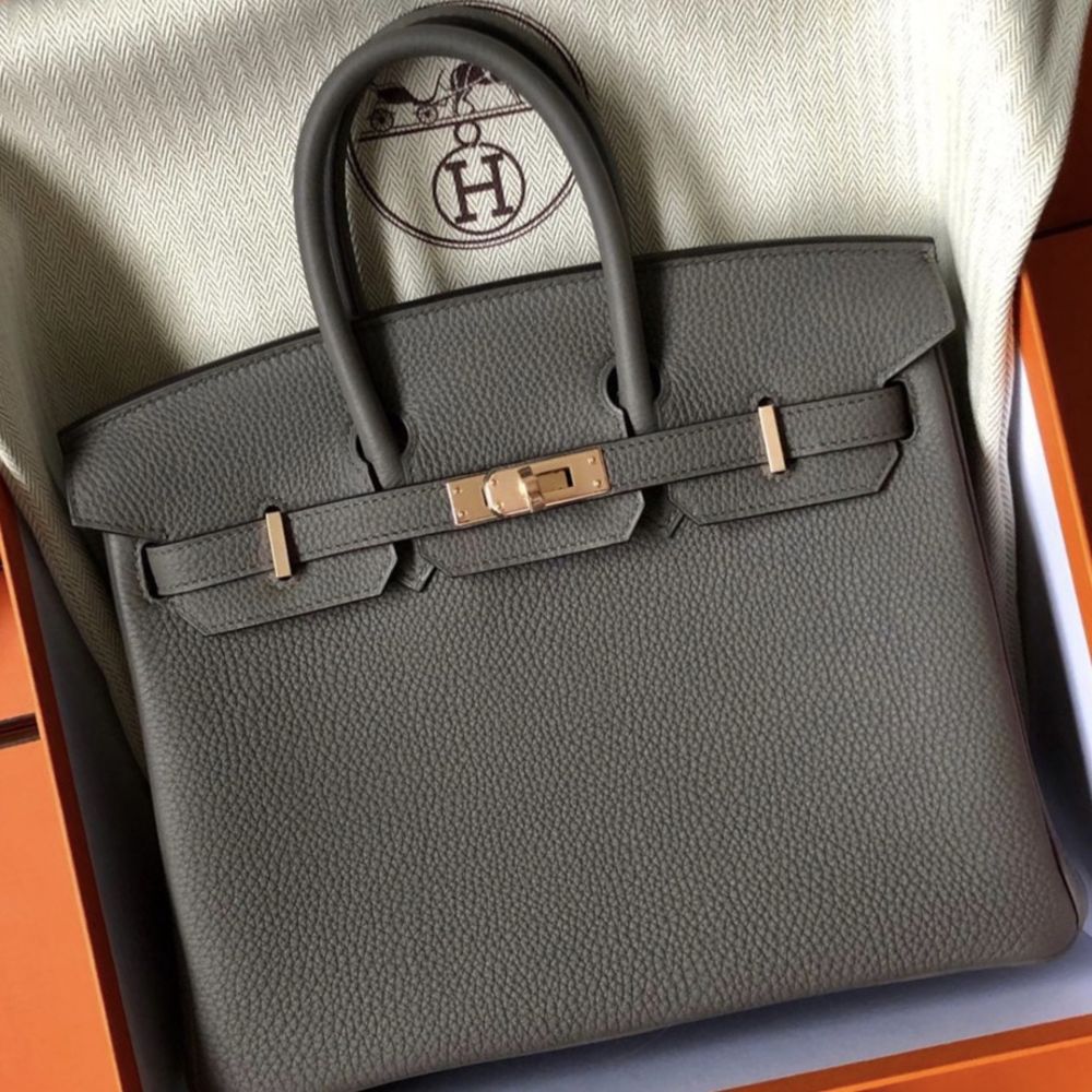Hermes Etain Birkin 25 Grey Togo Gold Hardware Bag Z Stamp, 2021