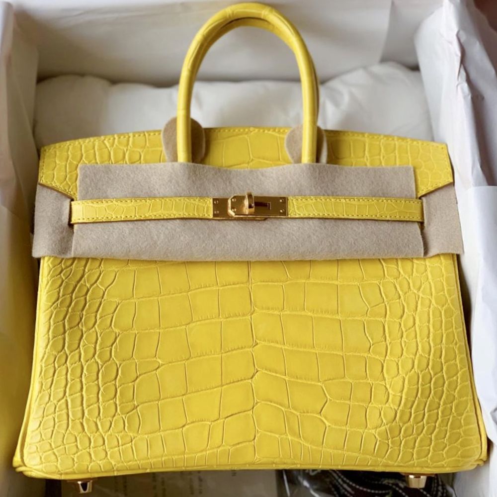 Hermès Birkin 25 Mimosa Alligator Mississippi Matte Gold Hardware GHW