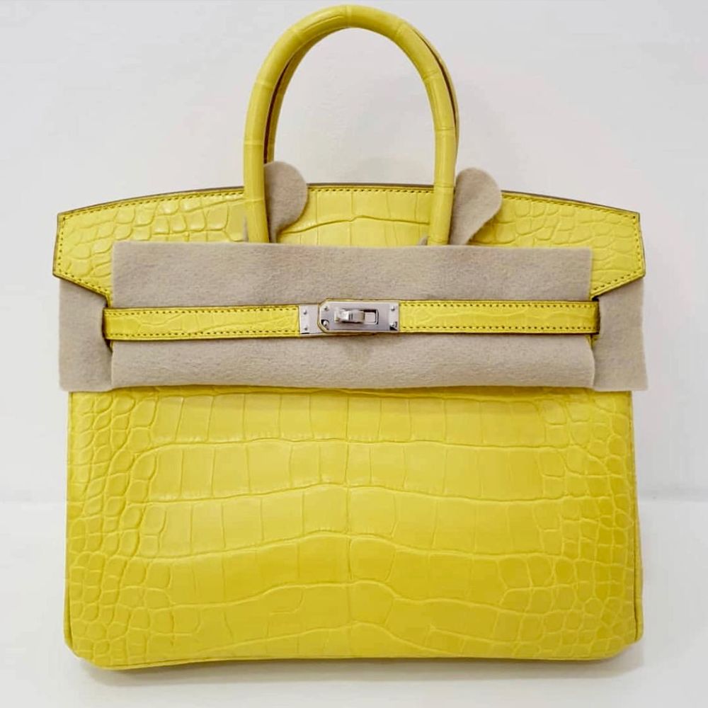 Hermès Birkin 25 Mimosa Alligator Mississippi Matte Palladium Hardware PHW