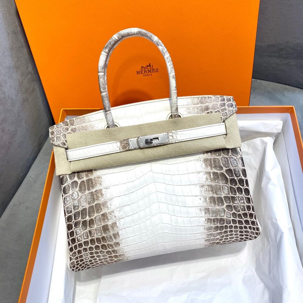 Hermès Birkin 30 Himalaya Crocodile Niloticus Matte Palladium Hardware PHW
