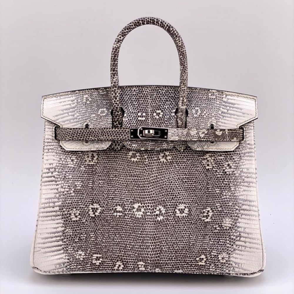 Hermès Birkin 25 Ombre Varanus Salvator Palladium Hardware PHW