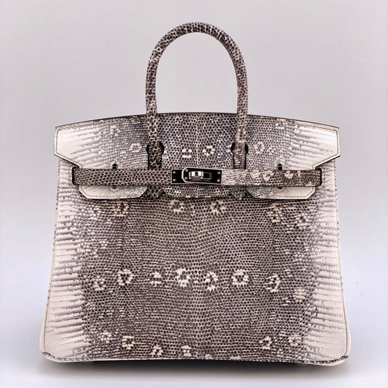 Hermès Birkin 25 Ombre Varanus Salvator Palladium Hardware PHW