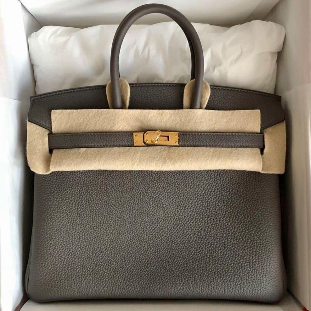 Hermès Birkin 25 Gris Etain Togo Leather Gold hardware - Luxury