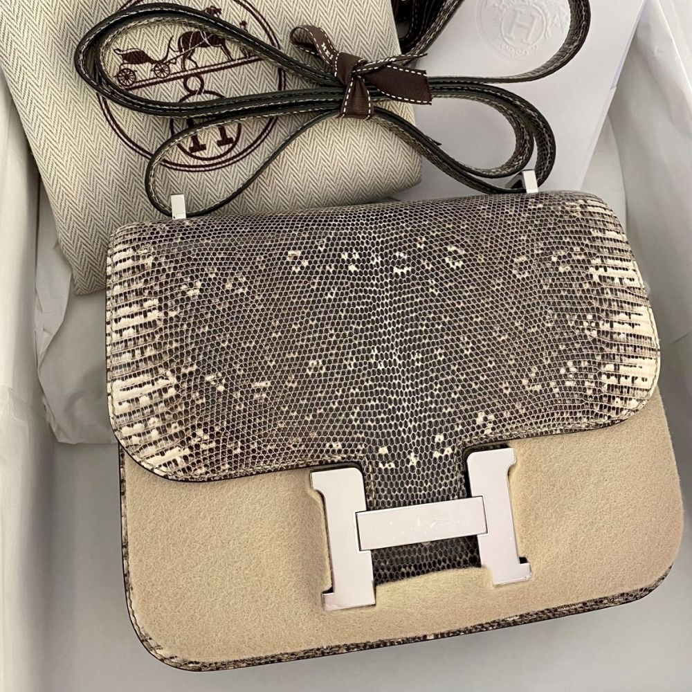 Hermès Constance 18 Ombre Varanus Niloticus Palladium Hardware PHW