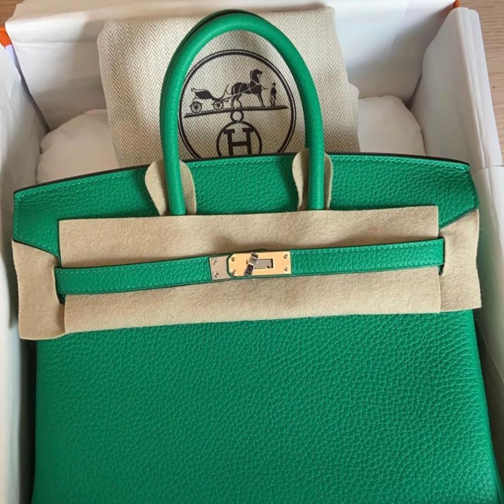 New Hermes Birkin 25 Verso Vert Bosphore Bag in Box