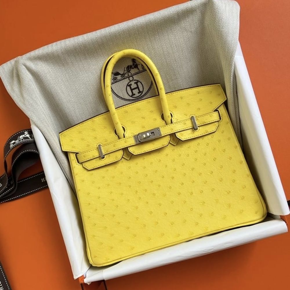 Hermès Birkin 25 Jaune Citron Ostrich Palladium Hardware PHW — The